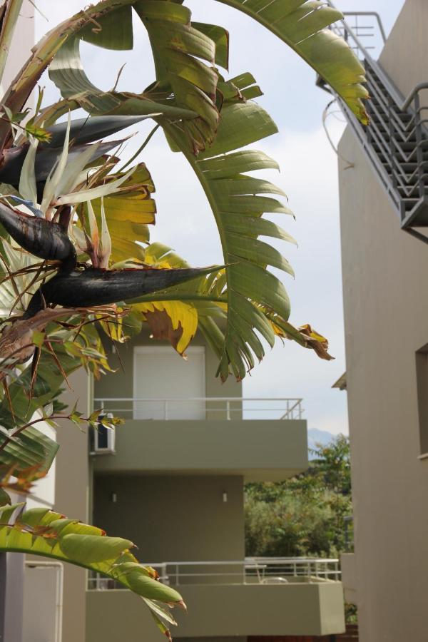Kamares Apts - Antonis Cozy Maisonette Chania  Bagian luar foto